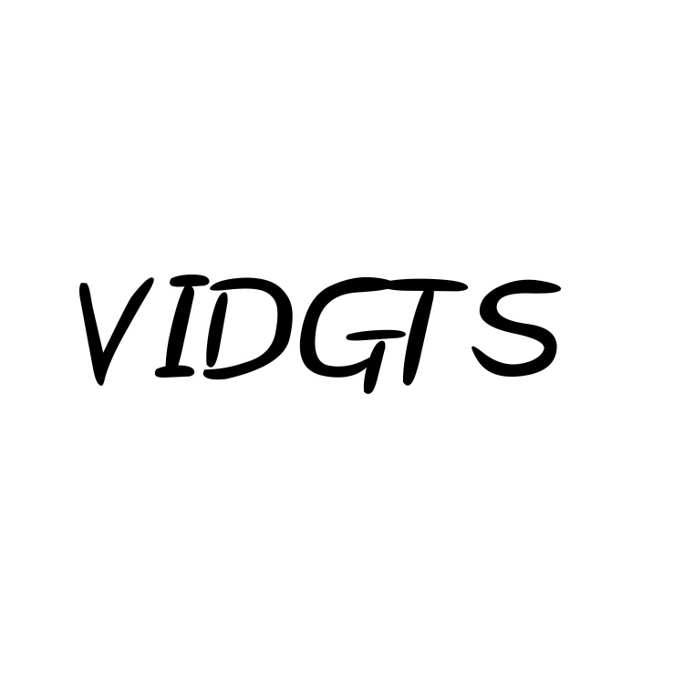 VIDGTS